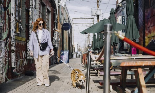 a person walking a dog on a sidewalk